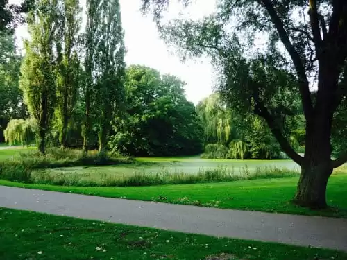 Noorderpark in SWEETS hotel neigbourhood guide Amsterdam