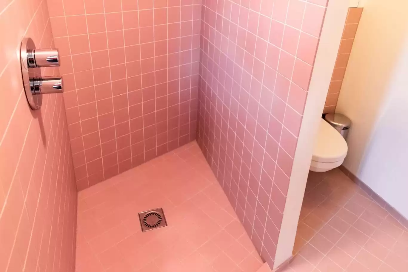 SWEETS hotel Amsterdam Noord Holland_bridge house 104 IJdoornlaanbrug_hotel interior_bathroom toilet shower_pink tiles