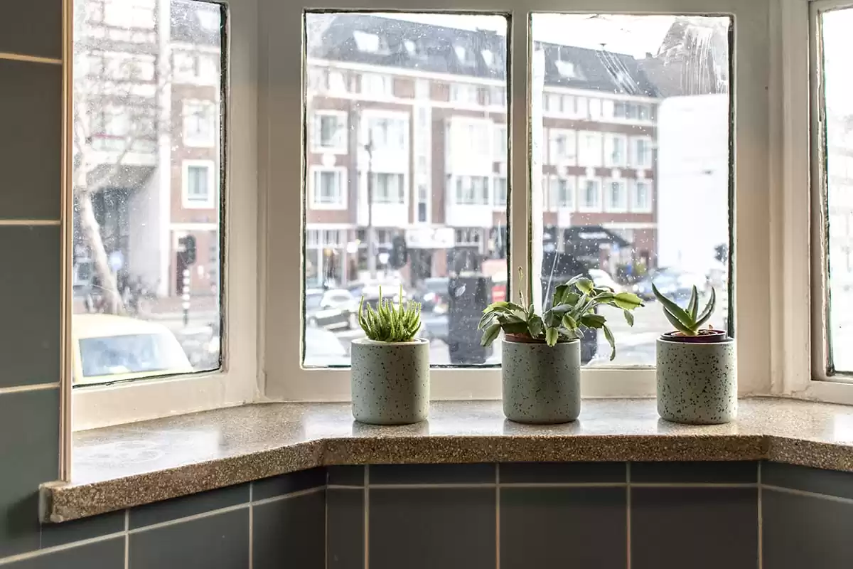 Photo of SWEETS hotel Amsterdam West Overtoomsesluis bridge house interior toilet plants view